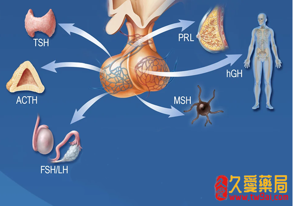 1715401738588286.png image.png